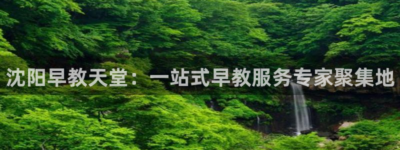 恒行2那74OOO5：沈阳早教天堂：一站式早教服务专家聚集地