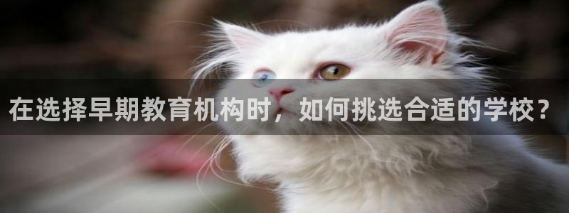 恒行主管6ll5l指定：在选择早期教育机构时，如何挑选合适的学校？