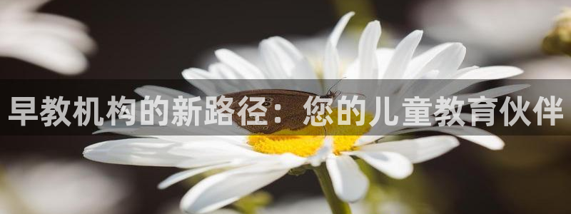 恒行登录就搜6ll5l：早教机构的新路径：您的儿童教育伙伴