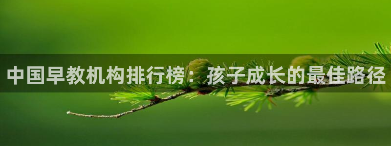 恒行2褚74OOO5：中国早教机构排行榜：孩子成长的最佳路径