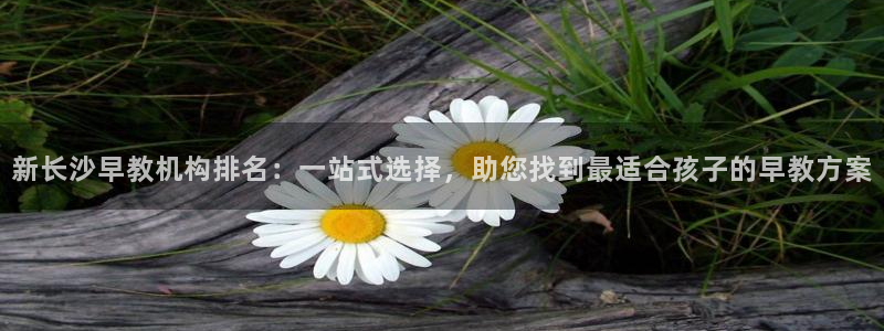恒行代理总代主导 6ll5l：新长沙早教机构排名：一站式选择，助您找到最适合孩子