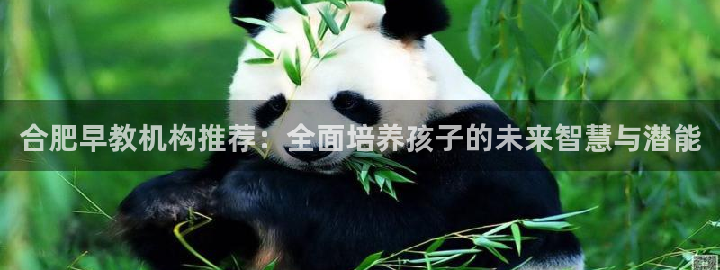 恒行2那74OO5：合肥早教机构推荐：全面培养孩子的未来智慧与潜能