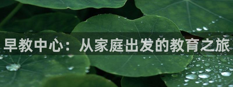 恒行2褚74OOO5：早教中心：从家庭出发的教育之旅