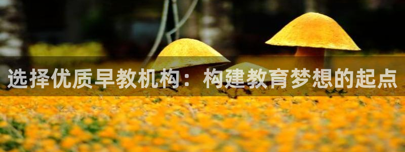 恒行2卫74OOO5：选择优质早教机构：构建教育梦想的起点