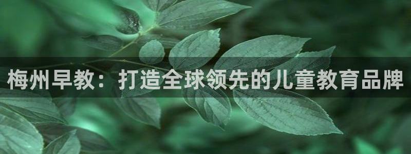 恒行2地74OOO5：梅州早教：打造全球领先的儿童教育品牌