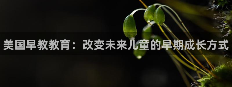 恒行娱乐蒋74OOO5:美国早教教育:改变未来儿童的早期成长方式