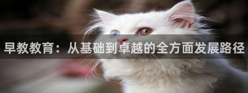 恒行娱乐5ll533主管耐心：早教教育：从基础到卓越的全方面发展路径