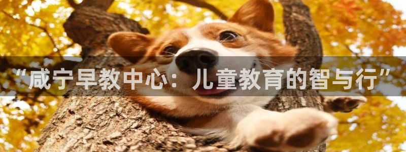 恒行娱乐冯74OOO5：“咸宁早教中心：儿童教育的智与行”