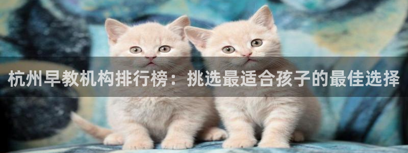 恒指5行情 如来再我心：杭州早教机构排行榜：挑选最适合孩子的最佳选择