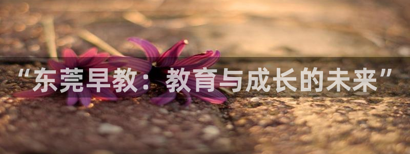 恒行主管总代6ll5l周至：“东莞早教：教育与成长的未来”