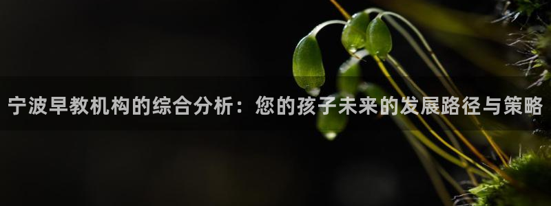 恒行开户娱乐6ll5l特惠：宁波早教机构的综合分析：您的孩子未来的发展路径与策略