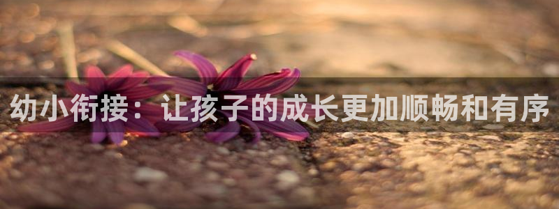恒行娱乐蜗74ooo5指磁：幼小衔接：让孩子的成长更加顺畅和有序