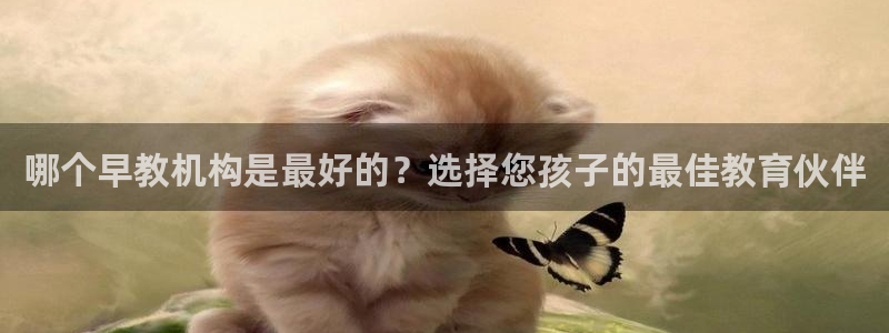 恒行2杨74OOO5：哪个早教机构是最好的？选择您孩子的最佳教育伙伴
