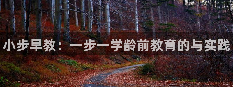 恒行开户娱乐6ll5l特惠：小步早教：一步一学龄前教育的与实践