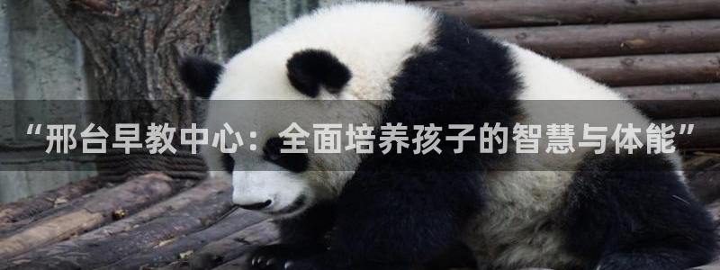 恒行娱乐5ll533主管耐心：“邢台早教中心：全面培养孩子的智慧与体能”
