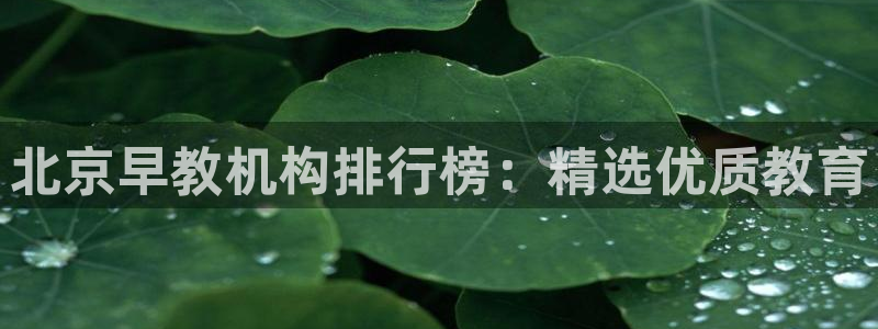 恒行2卫74OOO5：北京早教机构排行榜：精选优质教育