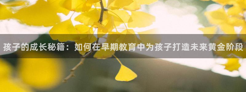 恒行娱乐5ll533主管耐心：孩子的成长秘籍：如何在早期教育中为孩子打造未来黄金