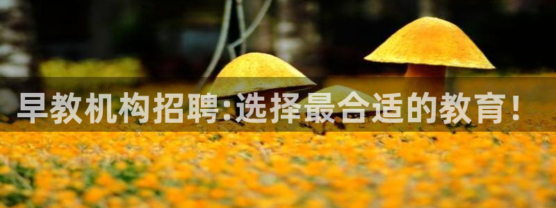 恒行开户全2O5o5O：早教机构招聘:选择最合适的教育！