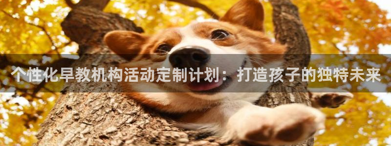 恒行2杨74OOO5：个性化早教机构活动定制计划：打造孩子的独特未来