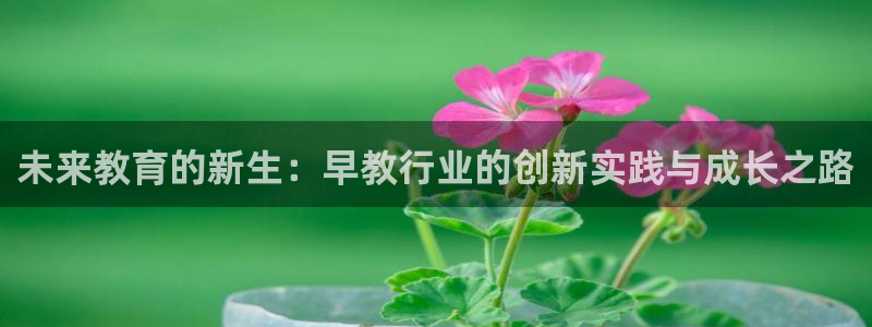 恒在5行中代表什么数字：未来教育的新生：早教行业的创新实践与成长之路