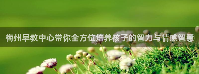 恒行娱乐吕74OOO5：梅州早教中心带你全方位培养孩子的智力与情感智慧