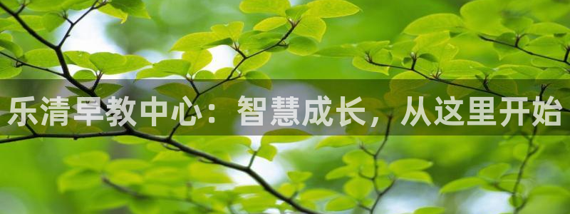 恒行主管总代6ll5l周至：乐清早教中心：智慧成长，从这里开始