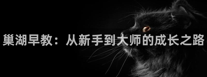 恒行娱乐见5ll533主管：巢湖早教：从新手到大师的成长之路
