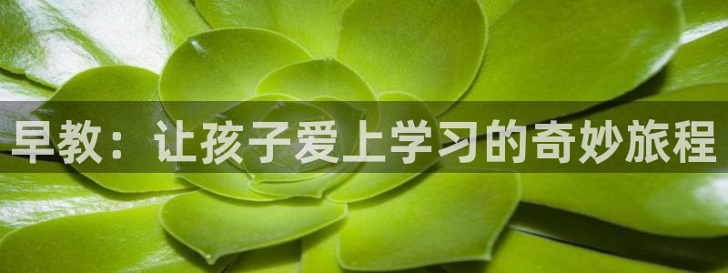 恒行2韩74OOO5：早教：让孩子爱上学习的奇妙旅程