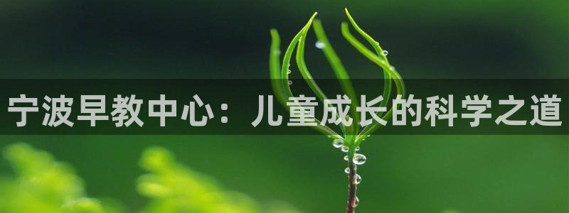 恒行2沈74OOO5：宁波早教中心：儿童成长的科学之道