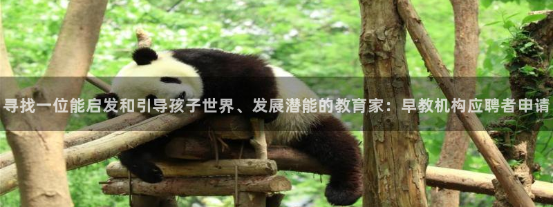 恒行2许74OOO5：寻找一位能启发和引导孩子世界、发展潜能的教育家：早教机构应
