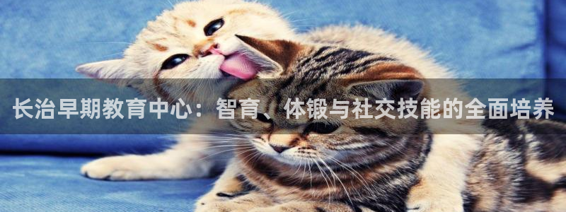 恒行主管首问6ll5l：长治早期教育中心：智育、体锻与社交技能的全面培养