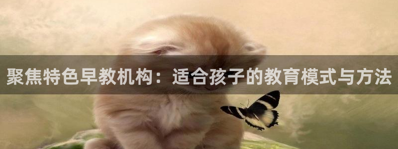 恒行主管6ll5l指定：聚焦特色早教机构：适合孩子的教育模式与方法