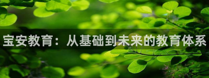 恒行娱乐吕74OOO5：宝安教育：从基础到未来的教育体系