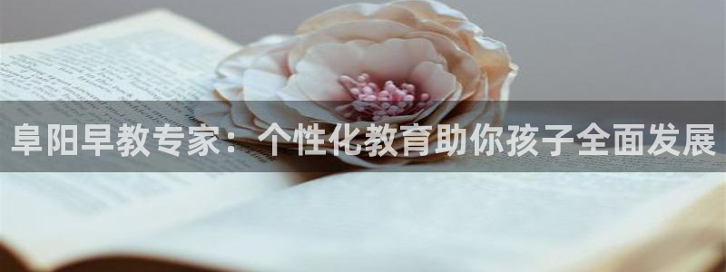 恒行主管总代6ll5l周至：阜阳早教专家：个性化教育助你孩子全面发展