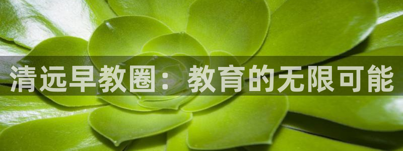 恒行娱乐吴74OOO5：清远早教圈：教育的无限可能