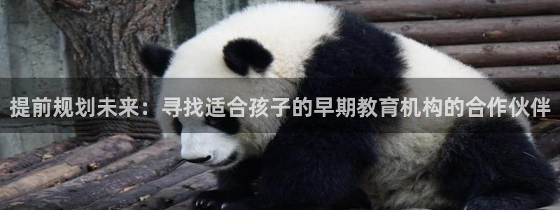 恒行娱乐冯74OOO5：提前规划未来：寻找适合孩子的早期教育机构的合作伙伴