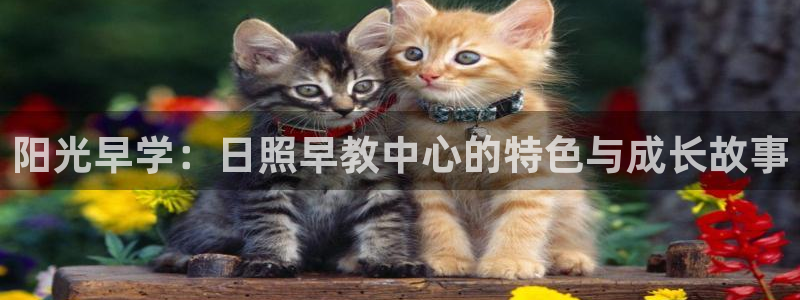 恒行娱乐5ll533主管优雅：阳光早学：日照早教中心的特色与成长故事