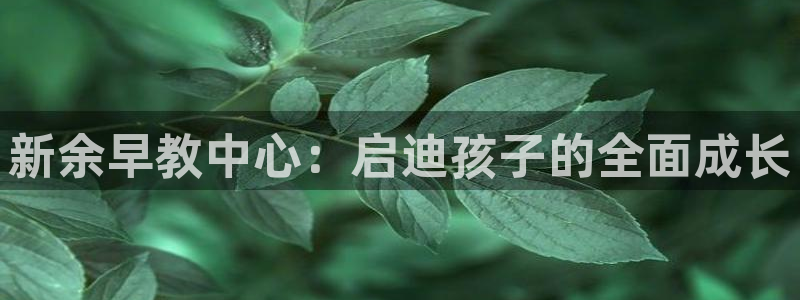 恒在5行中代表什么数字：新余早教中心：启迪孩子的全面成长