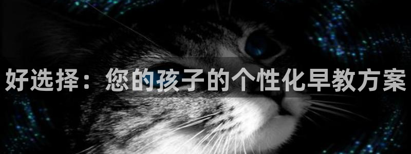 恒行注册全2O5O5O：好选择：您的孩子的个性化早教方案