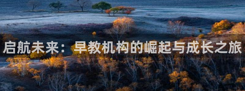 恒行娱乐吴74OOO5：启航未来：早教机构的崛起与成长之旅