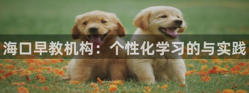 恒行娱乐度74ooo5聘霖：海口早教机构：个性化学习的与实践