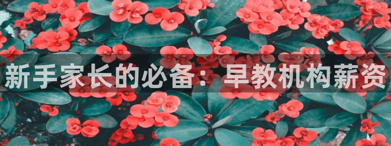 恒行2蒋74OOO5：新手家长的必备：早教机构薪资