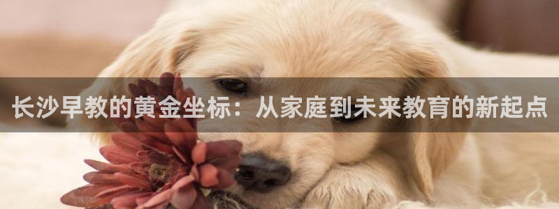 恒行娱乐登录5ll533主管一流：长沙早教的黄金坐标：从家庭到未来教育的新起点