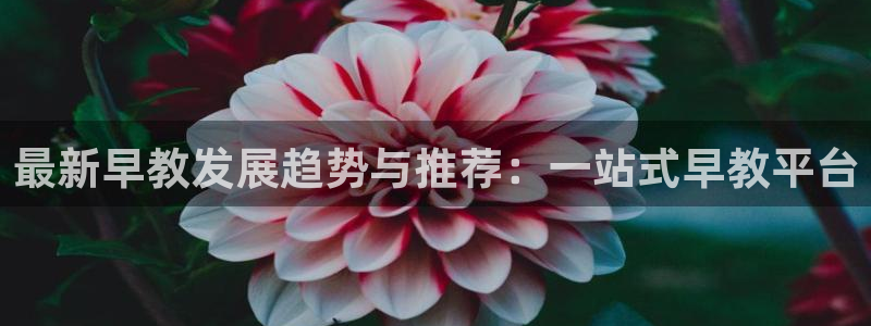 恒行注册全2O5O5O：最新早教发展趋势与推荐：一站式早教平台