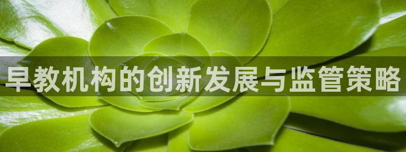 恒行娱乐蜗74ooo5指磁：早教机构的创新发展与监管策略
