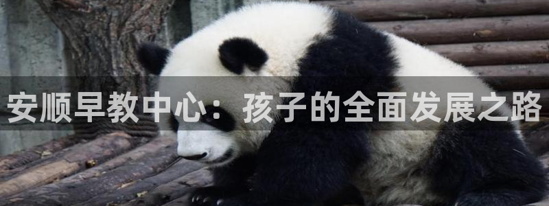 恒指5行情 如来再我心：安顺早教中心：孩子的全面发展之路