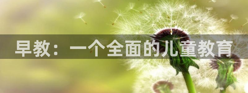 恒行2那74OO5:早教:一个全面的儿童教育
