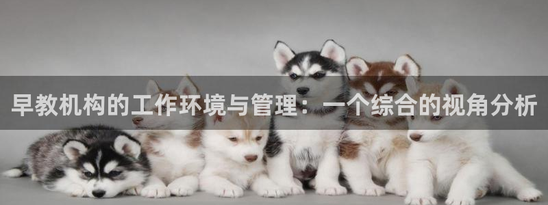 恒行娱乐景74ooo5诿抢：早教机构的工作环境与管理：一个综合的视角分析