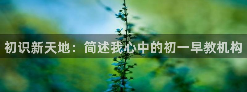 恒行5娱乐：初识新天地：简述我心中的初一早教机构