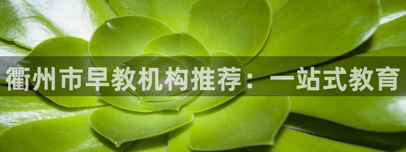 恒行5：衢州市早教机构推荐：一站式教育